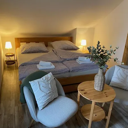 U Pejska A Kocicky 3* Mariánské Lázně