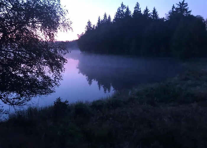 U Pejska A Kocicky 3* Mariánské Lázně