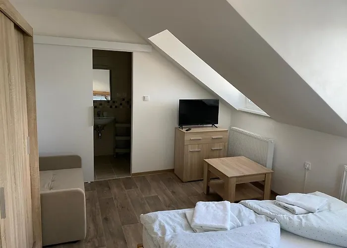 U Pejska A Kocicky Affittacamere 3*