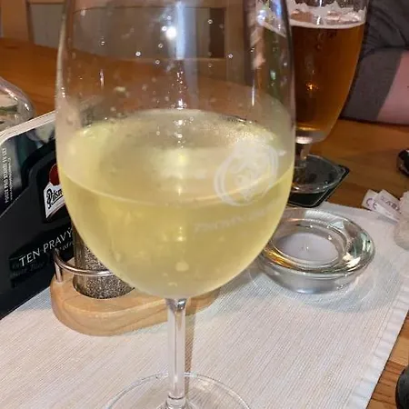 Hostinec U Pejska A Kocicky Guest house Marianske Lazne