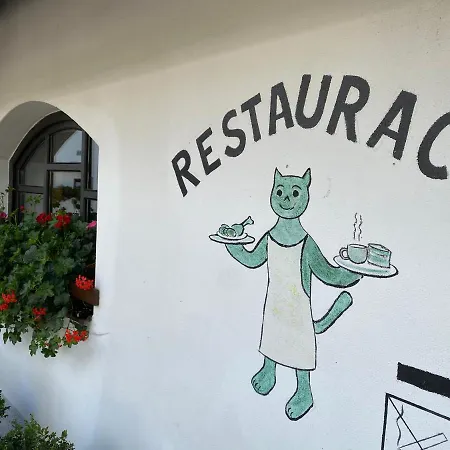 U Pejska A Kocicky Gæstehus Mariánské Lázně
