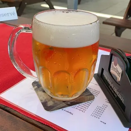 Konukevi U Pejska A Kocicky 3*