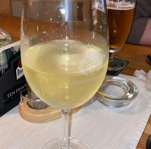 U Pejska A Kocicky Pensión Mariánské Lázně