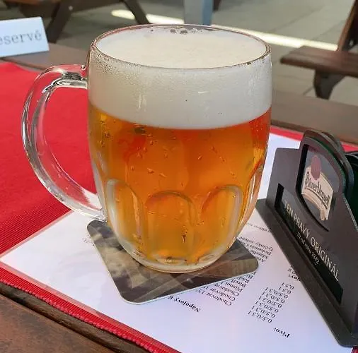 Pensión U Pejska A Kocicky 3*