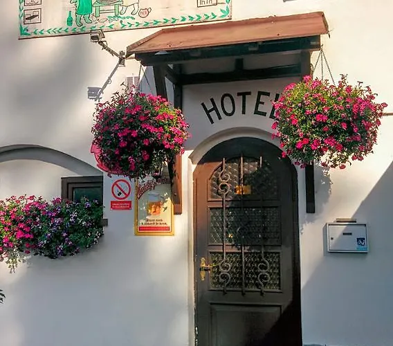 Hostinec U Pejska A Kocicky Guest house