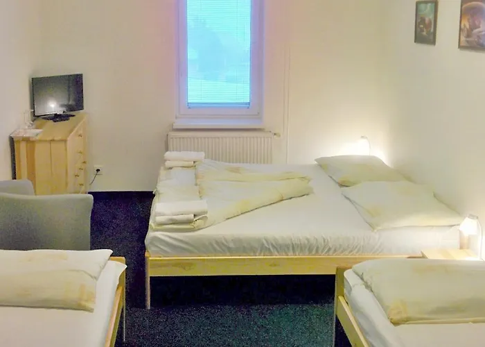 Pensión U Pejska A Kocicky